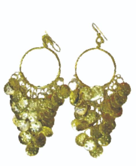 Coin Styled Gold Earrings