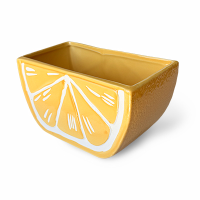 Slice of Lemon Ceramic Planter