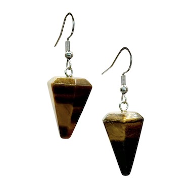 Tigers Eye Pendulum Surgical Steel Earrings