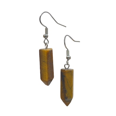 Assorted Terminated Surgical Steel Earrings