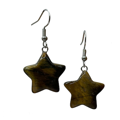 Tigers Eye Star Surgical Steel Earrings