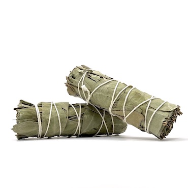 10cm Eucalyptus Smudge Stick